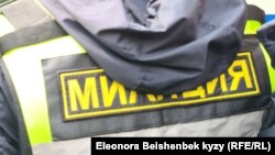 Иллюстрация.
