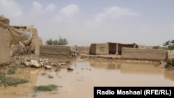 د ۲۰۲۲ز کال په جولای کې بارانونو او سېلاوونو په پکتیا کې هم ودانیو او فصلونو ته زیانونه اړولي ول. 