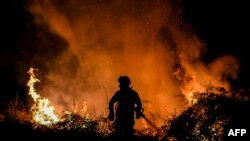 Борба с горски пожар. Снимката е илюстративна.