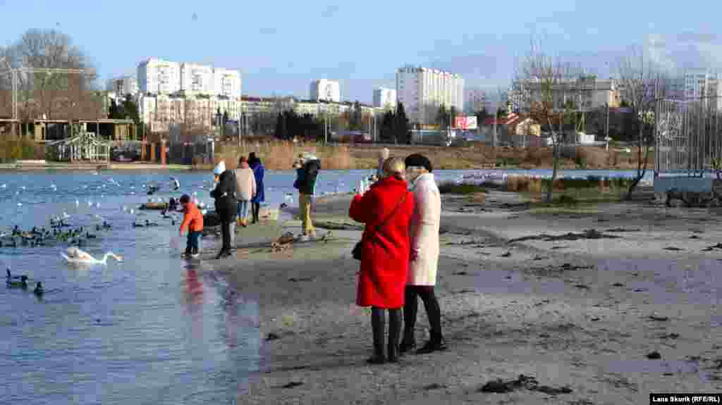 Девушки снимают &laquo;птичий базар&raquo;