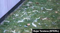 Qirinj dhe poçe elektrike afër objektit të Qeverisë