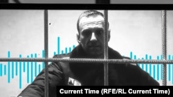 Outspoken Kremlin critic Aleksei Navalny on May 27.