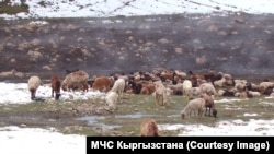 Сырт өрөөнү. 2-июнь, 2022-жыл. 