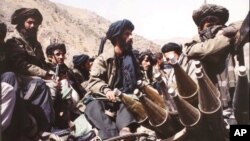 آرشیف، جنگجویان طالبان