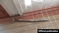 УКМК тараткан сүрөт. 