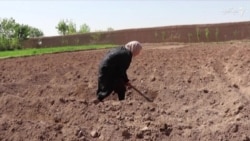"خواهران لایقه هم که بزرگ شدند مکتب نروند"