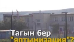 Татарстанда мәктәпләр ябуның яңа дулкыны: Теләче районы