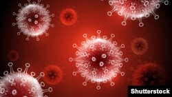 Иллюстративное фото.