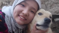 Чек ара: Элзаданын жаш өмүрү жайран болду