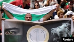 Protesters rally against Bulgaria's plan to joining the eurozone in Sofia on May 31.