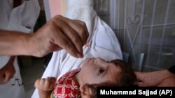 چارواکي وايي، ۵۳۳ ټيمونه يې جوړ کړي چې کور په کور ماشومانو ته د ګوزڼ مخنيوي څاڅکي ورکوي. انځور - ارشیف