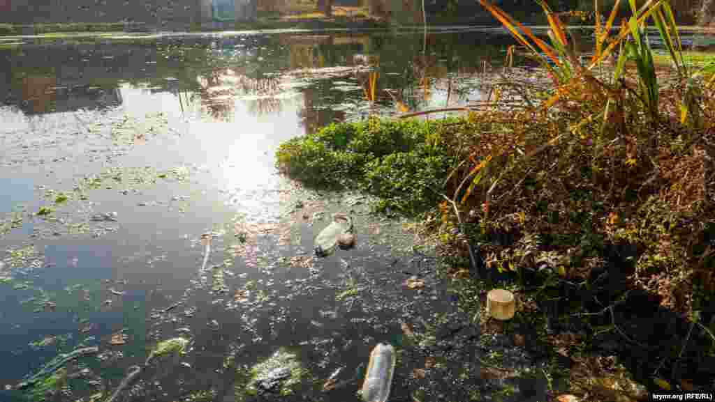 На початку 2020 року міська влада заявляла про необхідність розчистити Даниловський ставок, що утворився на місці виходу підземних вод і звідки бере початок річка Слов'янка, ліва притока Салгира. Повідомлялося про суму 38 мільйонів рублів на ці цілі. Минулого літа були озвучені нові терміни завершення робіт &ndash; початок 2022 року