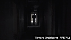 Иллюстрациялык сүрөт