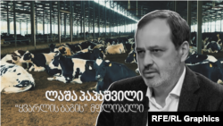 ბიზნესმენი ლაშა პაპაშვილი - „ყვარლის ბაგის“ მფლობელი