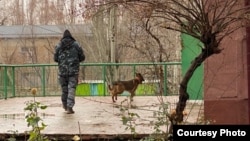 Фото предоставлено городским управлением милиции Бишкека