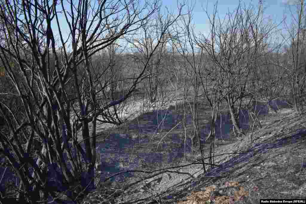 Последиците од пожарот на преспаснкото крајбрежје во Долно Перово и Езерани 