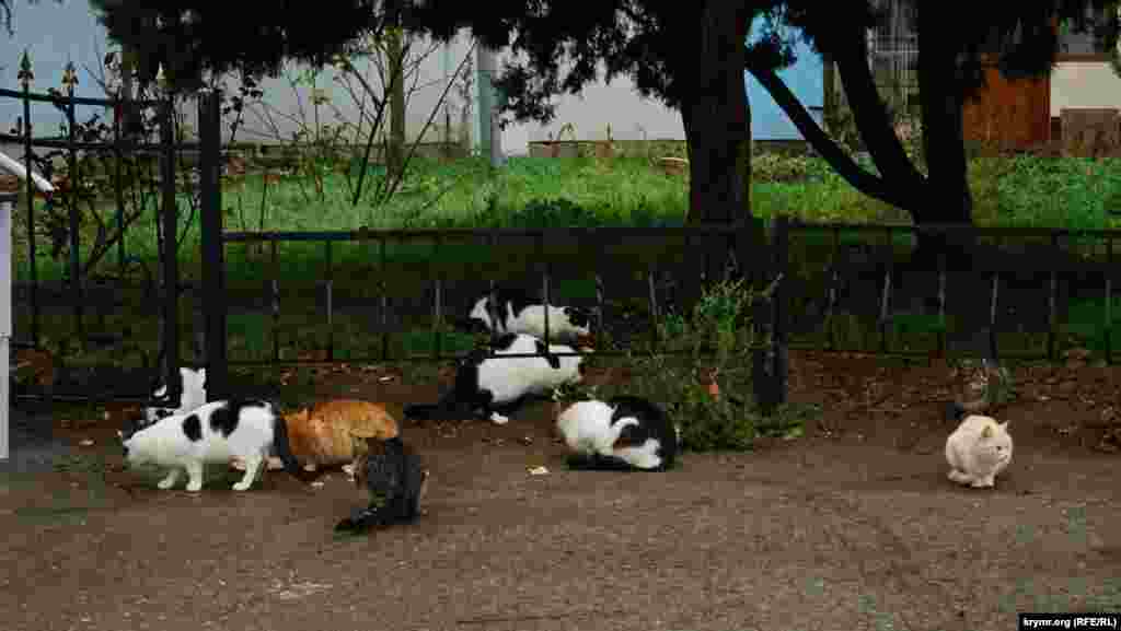 Межсезонье в Алуште, 27 ноября 2017 года