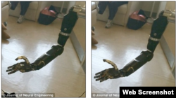 Футуристтик бионикалык кол. АКШ.