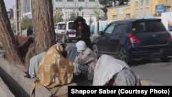 تعدادی از افراد معتاد به مواد مخدر در ولایت هرات