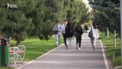 Караколдо окуучу сабалган окуяны бийлик териштирет