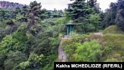 თბილისის ბოტანიკური ბაღი