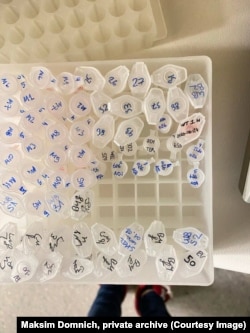 Узоры, атрыманыя з розных раквых клетачных ліній. Фота з прыватнага архіву Максіма Домніча