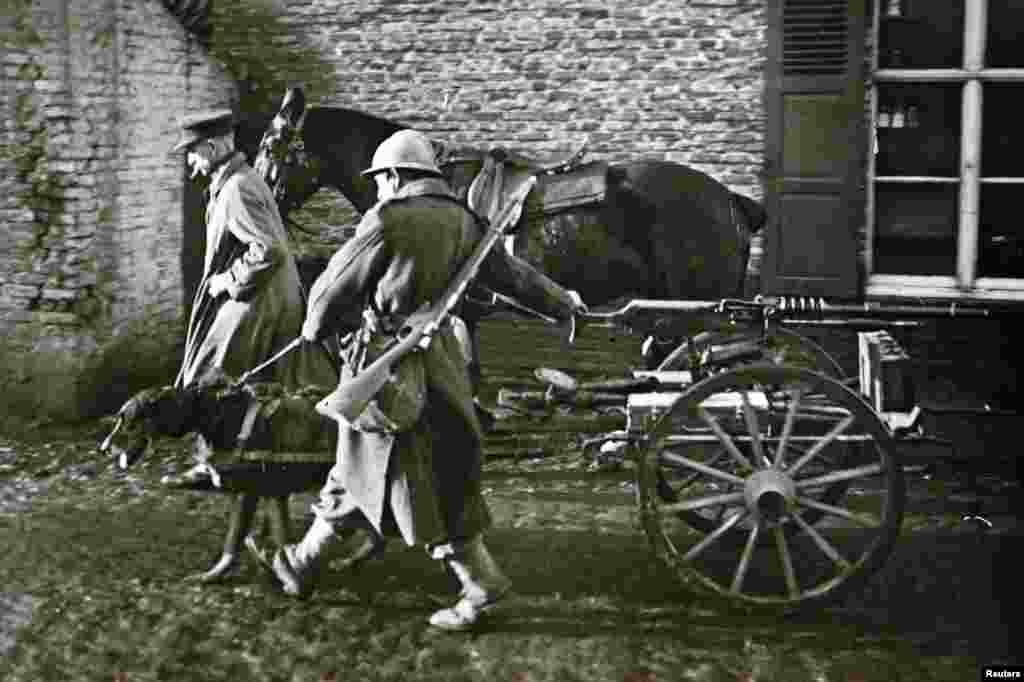 Собака тягне бельгійський кулемет на півночі Франції