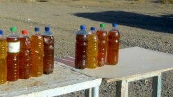 Türkmenistanda pagta ýagy gytalýar we gymmatlaýar