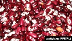 Төө буурчак.