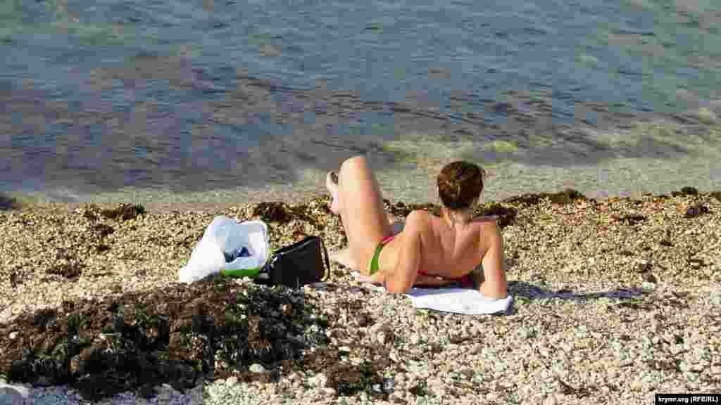 Suv yanında - çürip turğan deñiz otu