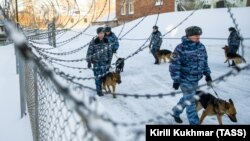 Иллюстрациялык сүрөт.