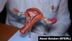 Иллюстрация сүрөт.