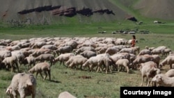 Иллюстративное фото. 