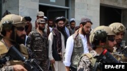 یو طالب مشر انس حقاني. انځور- ارشیف