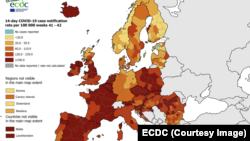 Rata de notificare a cazurilor COVID-19 de 14 zile la 100 000, săptămânile 41-42