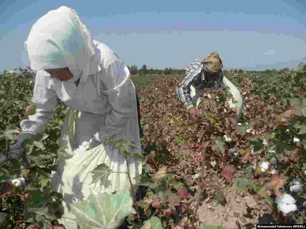 Трое из четырех бедных детей (77,6 процента) проживают в сельской местности.