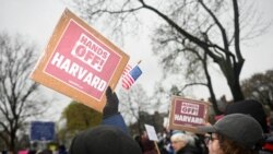 Американские вопросы: Министерство образования и другие жертвы образовательных реформ президента Трампа