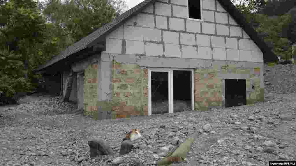 Ev aman-aman bütünley taş toldı