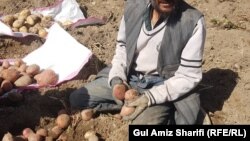 آرشیف، یک دهقان افغان