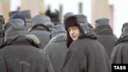 Яшүсмерләр колониясе (архив фотосы)