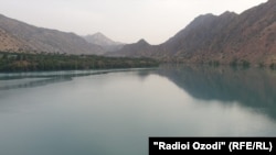 Акс аз бойгонӣ