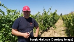 Sergiu Galușca, fondatorul vinăriei „Unicorn”, este și un fan al Europei Libere, după cum o arată și inscripția de pe tricou