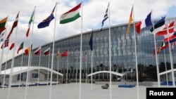 پرچم‌های کشورهای هم‌پیمان ناتو