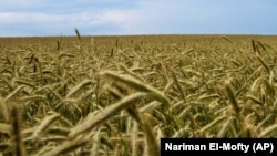 Иллюстратив фото