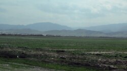 Berdimuhamedow siliň täsirini agzamazdan, gowaça ekişiniň depginini ýokarlandyrmagy tabşyrdy