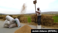 Өзгөн күрүчү