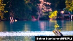 Сары-Челек. 