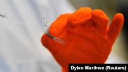 Od obima analize uzoraka korona virusa zavisi koliko će svet imati informacija o ponašanju i širenju virusa.