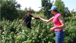 (Video) Profesoara care a devenit agricultoare