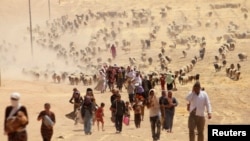 Беженцы-езиды заблокированы исламистами у горы Синджар